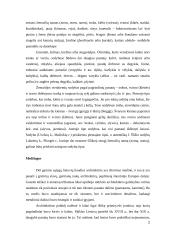 Tradicinė žemaičių trobų architektūra 2 puslapis