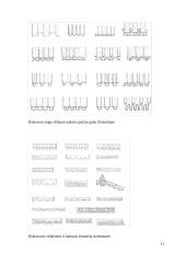 Tradicinė žemaičių trobų architektūra 11 puslapis