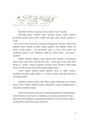 Tradicinė žemaičių trobų architektūra 4 puslapis