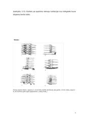 Tradicinė žemaičių trobų architektūra 7 puslapis