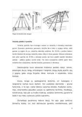 Tradicinė žemaičių trobų architektūra 9 puslapis