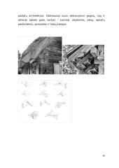 Tradicinė žemaičių trobų architektūra 10 puslapis