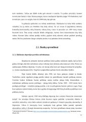 Investiciniai sprendimai finansų krizių kontekste 11 puslapis