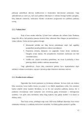 Investiciniai sprendimai finansų krizių kontekste 12 puslapis