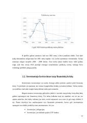 Investiciniai sprendimai finansų krizių kontekste 13 puslapis
