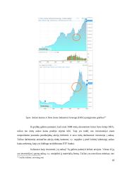 Investiciniai sprendimai finansų krizių kontekste 18 puslapis