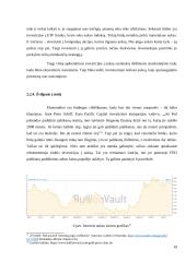 Investiciniai sprendimai finansų krizių kontekste 19 puslapis