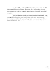 Investiciniai sprendimai finansų krizių kontekste 20 puslapis