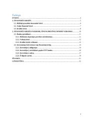 Investiciniai sprendimai finansų krizių kontekste 3 puslapis