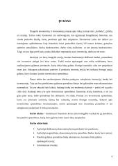 Investiciniai sprendimai finansų krizių kontekste 4 puslapis