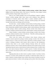 Kaimiškoje vietovėje teikiamų socialinių paslaugų, socialinės rizikos šeimoms, svarba 2 puslapis