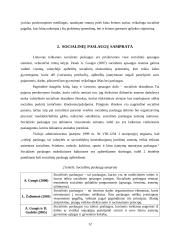 Kaimiškoje vietovėje teikiamų socialinių paslaugų, socialinės rizikos šeimoms, svarba 12 puslapis