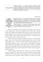 Kaimiškoje vietovėje teikiamų socialinių paslaugų, socialinės rizikos šeimoms, svarba 13 puslapis