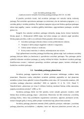 Kaimiškoje vietovėje teikiamų socialinių paslaugų, socialinės rizikos šeimoms, svarba 17 puslapis