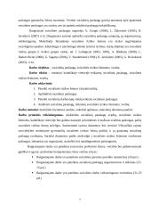 Kaimiškoje vietovėje teikiamų socialinių paslaugų, socialinės rizikos šeimoms, svarba 7 puslapis