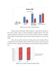 AB „Goo Quality“ įmonės pelno (nuostolių) ataskaitos analizė 13 puslapis