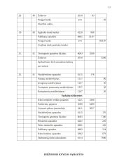 AB ,,Zarasaitis“ finansinė atskaitomybė 11 puslapis