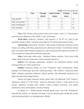 UAB „Windows“ verslo planas 13 puslapis