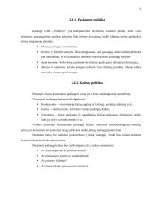 UAB „Windows“ verslo planas 15 puslapis