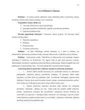 UAB „Windows“ verslo planas 17 puslapis