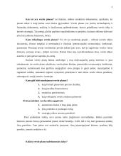 UAB „Windows“ verslo planas 3 puslapis