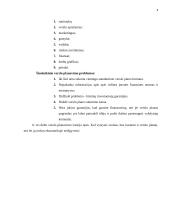 UAB „Windows“ verslo planas 4 puslapis