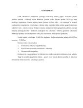 UAB „Windows“ verslo planas 5 puslapis