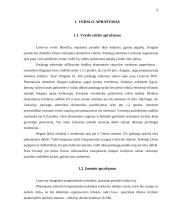 UAB „Windows“ verslo planas 6 puslapis