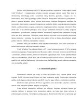 UAB „Windows“ verslo planas 7 puslapis