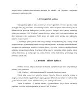 UAB „Windows“ verslo planas 8 puslapis