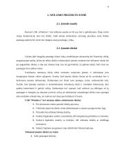 UAB „Windows“ verslo planas 9 puslapis