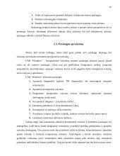 UAB „Windows“ verslo planas 10 puslapis