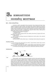 GIMNASTIKA (Mokymo priemonė kūno kultūros specialybės studentams) 11 puslapis