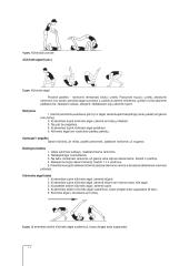 GIMNASTIKA (Mokymo priemonė kūno kultūros specialybės studentams) 13 puslapis