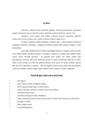 Taisyklingos laikysenos formavimas ir veiksniai 2 puslapis