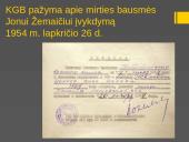 Jonas Žemaitis- Vytautas 10 puslapis