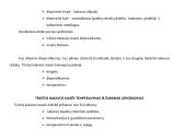 Šokolado gamybos technologija 11 puslapis