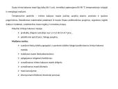 Šokolado gamybos technologija 12 puslapis