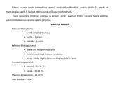 Šokolado gamybos technologija 13 puslapis