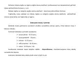 Šokolado gamybos technologija 16 puslapis