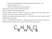 Šokolado gamybos technologija 4 puslapis