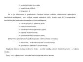 Šokolado gamybos technologija 10 puslapis