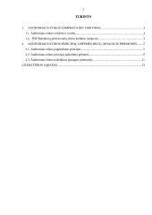 Auditoriaus etika referatas 2 puslapis