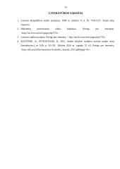 Auditoriaus etika referatas 13 puslapis