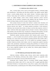 Auditoriaus etika referatas 3 puslapis