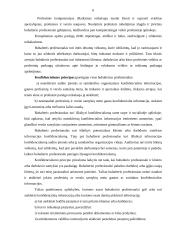 Auditoriaus etika referatas 6 puslapis