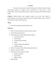 Tiekėjų vertinimas 3 puslapis