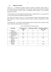 Tiekėjų vertinimas 5 puslapis