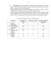 Tiekėjų vertinimas 6 puslapis