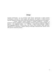Pneumatinis cilindras 2 puslapis